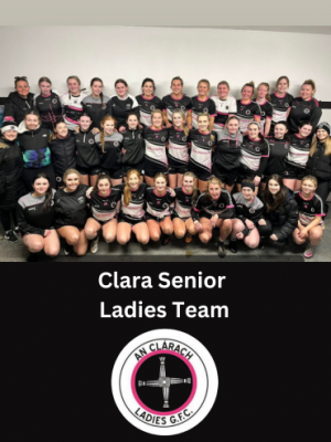 Clara Senior Ladies  image