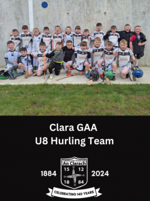 Clara GAA U8 Hurling Team image